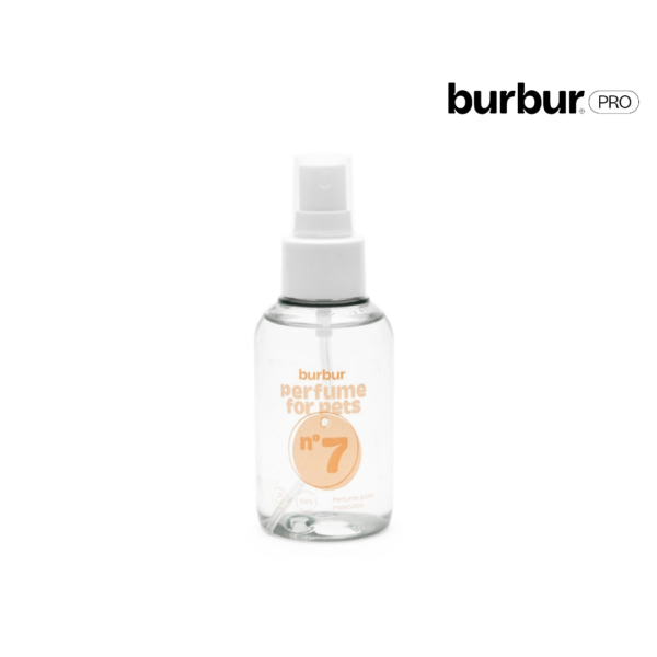 burburpro parfum seven