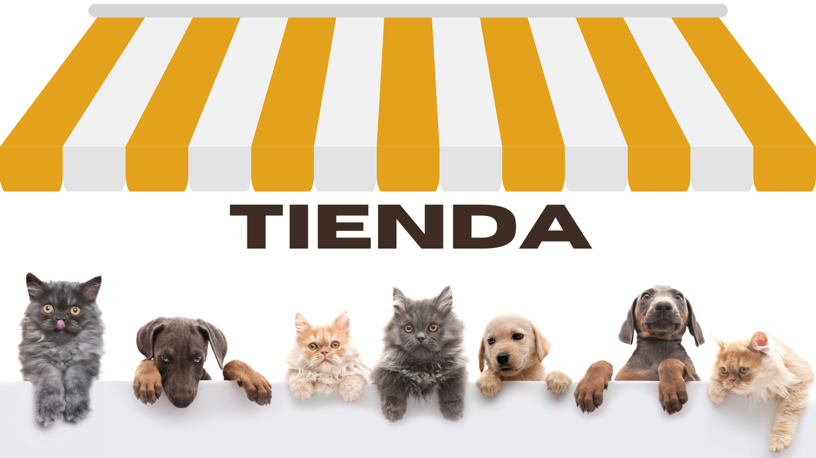 Peluquería